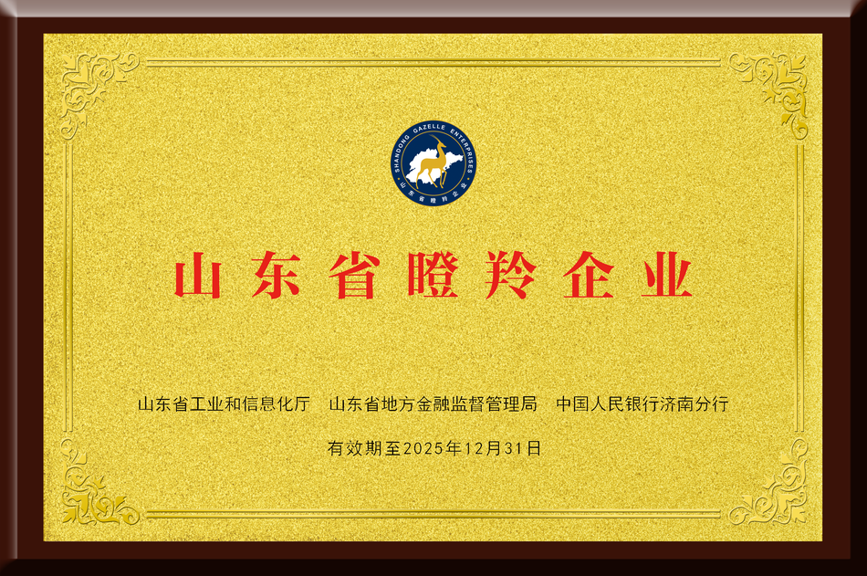 Shandong Gazelle Enterprise